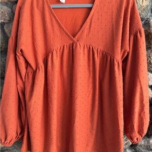 Hayden Rust V-Neck Blouse